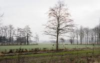 Beeld 16, klik om te vergroten