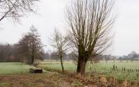 Beeld 17, klik om te vergroten