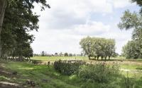 Beeld 7, klik om te vergroten