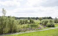 Beeld 10, klik om te vergroten
