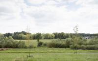 Beeld 12, klik om te vergroten