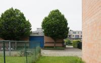 Beeld 22, klik om te vergroten