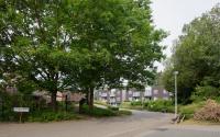 Beeld 12, klik om te vergroten