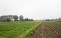 Beeld 62, klik om te vergroten