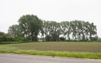 Beeld 63, klik om te vergroten