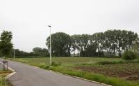 Beeld 65, klik om te vergroten