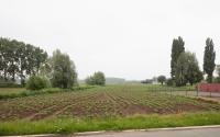 Beeld 66, klik om te vergroten