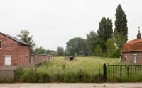 Beeld 67, klik om te vergroten