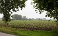 Beeld 68, klik om te vergroten