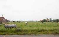 Beeld 2, klik om te vergroten