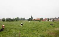 Beeld 6, klik om te vergroten