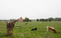 Beeld 7, klik om te vergroten