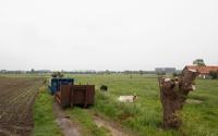 Beeld 9, klik om te vergroten