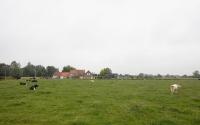 Beeld 13, klik om te vergroten