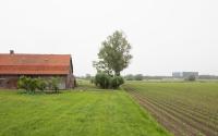 Beeld 14, klik om te vergroten