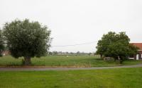 Beeld 11, klik om te vergroten