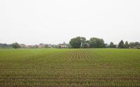 Beeld 18, klik om te vergroten