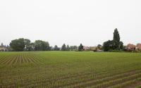 Beeld 20, klik om te vergroten