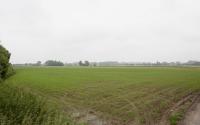 Beeld 43, klik om te vergroten