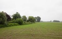 Beeld 44, klik om te vergroten