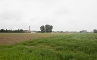 Beeld 49, klik om te vergroten