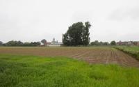 Beeld 50, klik om te vergroten