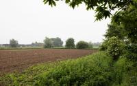 Beeld 36, klik om te vergroten