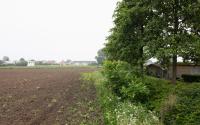 Beeld 39, klik om te vergroten
