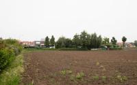 Beeld 32, klik om te vergroten