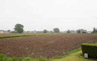 Beeld 25, klik om te vergroten