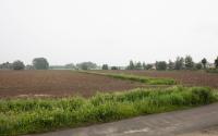 Beeld 29, klik om te vergroten