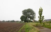 Beeld 23, klik om te vergroten