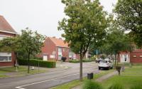 Beeld 3, klik om te vergroten