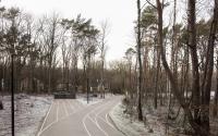 Beeld 14, klik om te vergroten