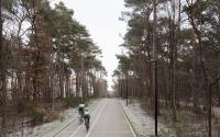 Beeld 15, klik om te vergroten