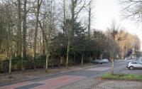 Beeld 4, klik om te vergroten