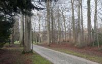 Beeld 7, klik om te vergroten