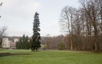 Beeld 8, klik om te vergroten