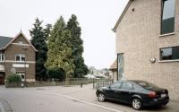 Beeld 6, klik om te vergroten