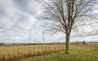 Beeld 14, klik om te vergroten