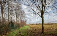 Beeld 18, klik om te vergroten