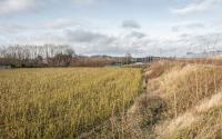 Beeld 25, klik om te vergroten