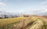 Beeld 29, klik om te vergroten