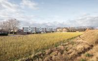 Beeld 30, klik om te vergroten