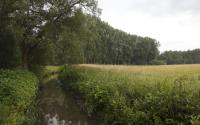 Beeld 6, klik om te vergroten