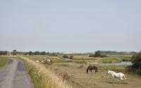 Beeld 6, klik om te vergroten