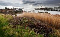 Beeld 7, klik om te vergroten