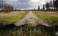 Beeld 8, klik om te vergroten