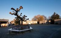 Beeld 3, klik om te vergroten