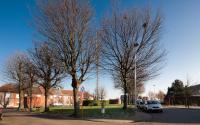 Beeld 5, klik om te vergroten